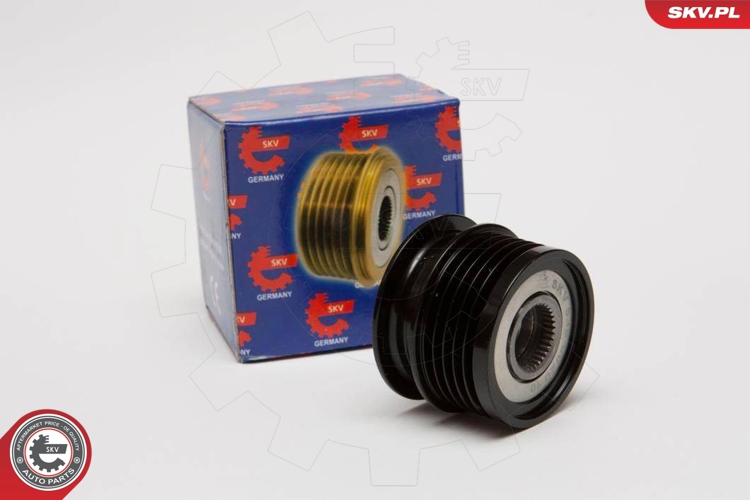 Alternator Freewheel Clutch